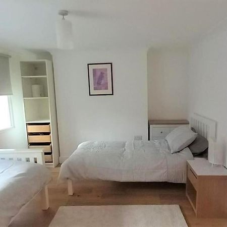 2 Bedroom Victorian Garden Flat 伦敦 外观 照片