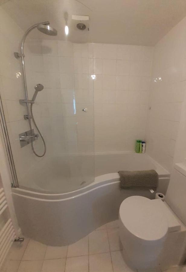 2 Bedroom Victorian Garden Flat 伦敦 外观 照片